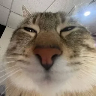 Стикер Стикеры  @Za_mono1ith - 10