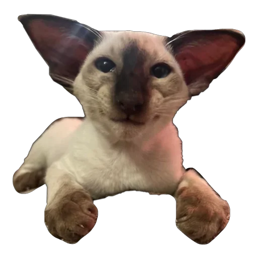 Стикер ZFpUHFdBJLcx_by_stqr_bot - 1