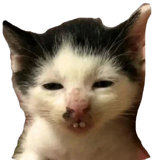 Стикер Syoma&Monya - 10