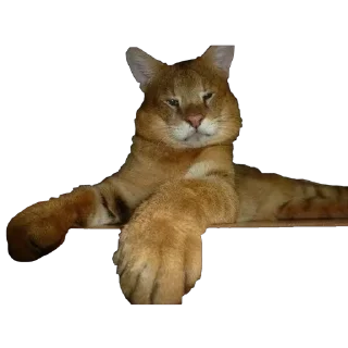 Стикер Syoma&Monya - 6