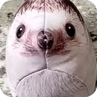 Sticker Зачем ты сюда нажал? - 6