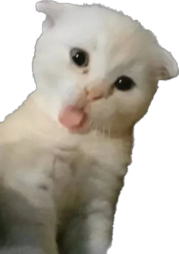 Sticker Zaletitzhe_by_TgEmodziBot - 1