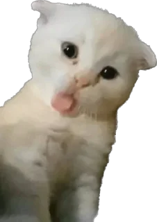 Sticker 🎀Больше @emojipipka - 8