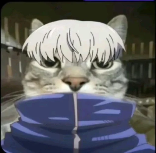 Sticker ZazuCatStickers_by_SozdaiStickeriBot - 1