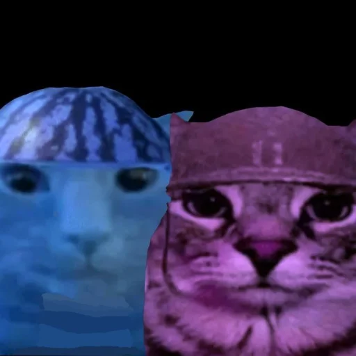 Sticker ZazuCatStickers_by_SozdaiStickeriBot - 1