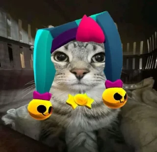 Sticker Zazu cat @SozdaiStickeriBot - 10