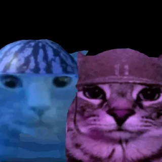 Sticker Zazu cat @SozdaiStickeriBot - 7