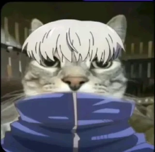 Sticker Zazu cat @SozdaiStickeriBot - 9