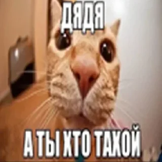 Sticker Больше стиков тут: @stikery4 - 11