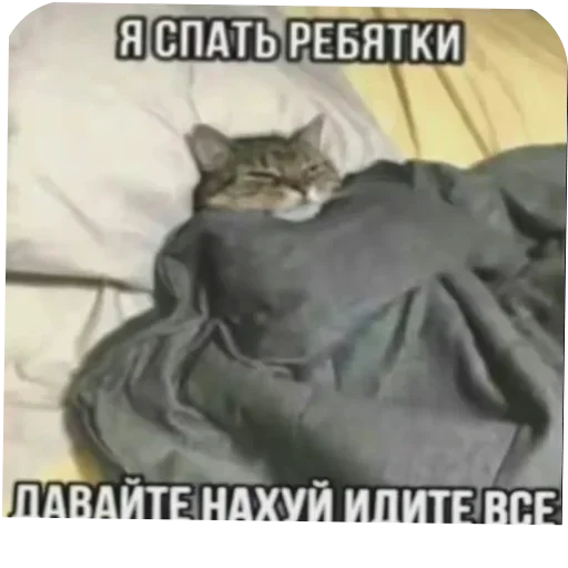 @stickeri_tg 💋<-- стикеры тут - 