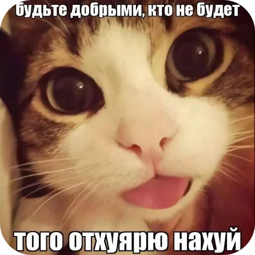 Sticker ZqzKnVwHhh_by_Sticker363728bot - 1