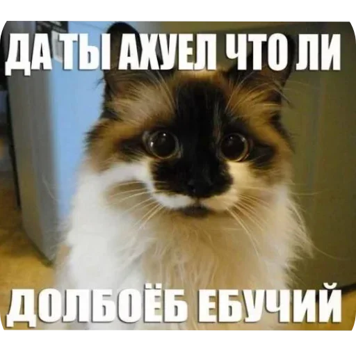 Sticker ZqzKnVwHhh_by_Sticker363728bot - 1