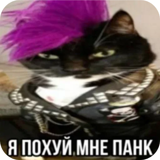 Sticker ZqzKnVwHhh_by_Sticker363728bot - 1