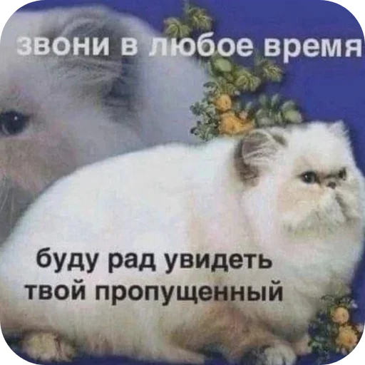 Sticker ZqzKnVwHhh_by_Sticker363728bot - 1