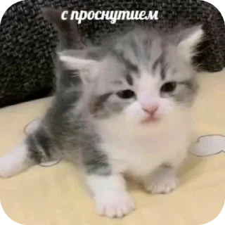 Sticker @stickeri_tg 💋<-- стикеры тут - 10