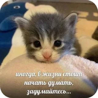 Sticker @stickeri_tg 💋<-- стикеры тут - 2