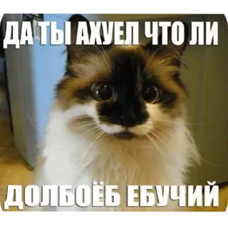 Sticker @stickeri_tg 💋<-- стикеры тут - 9