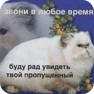 Sticker @stickeri_tg 💋<-- стикеры тут - 4