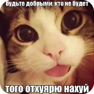 Sticker @stickeri_tg 💋<-- стикеры тут - 11