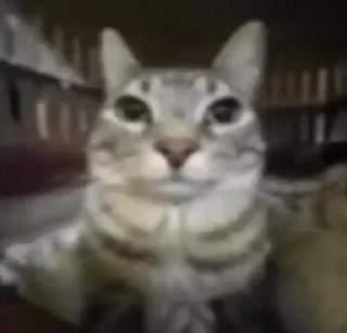 Sticker Samuel's stickers - 1