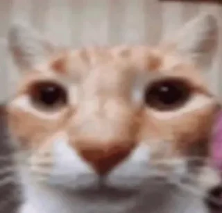 Sticker Samuel's stickers - 7