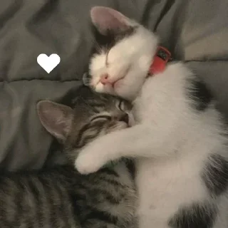 Стикер Китики @TgEmodziBot - 9