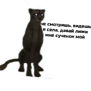 Sticker @huiesha соси хуй амина - 4