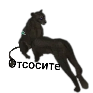 Sticker @huiesha соси хуй амина - 3