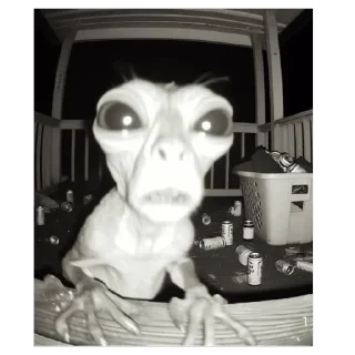 Стикер Больше стиков тут: @stikery4 - 5