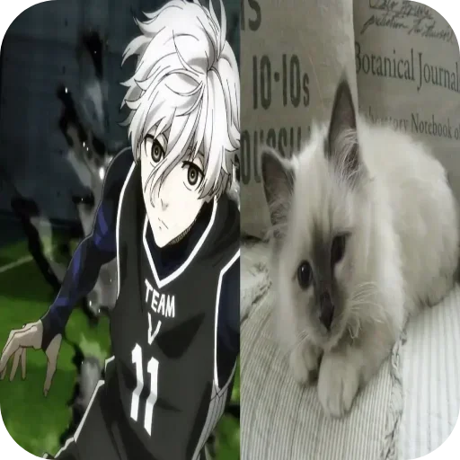 Sticker aNaWnzf_by_achestickbot - 1