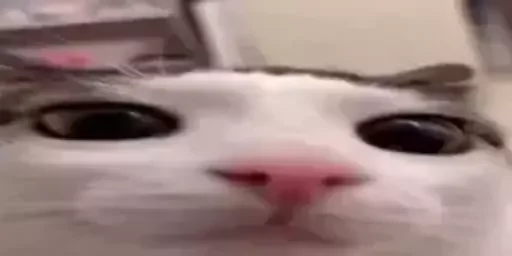 Sticker add7tvFav - 1