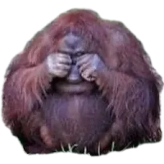 Стикер Гетто - 10