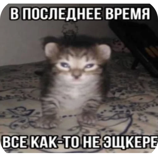 Sticker agressivnyekoty9 - 1