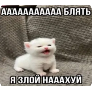 Sticker агро-коты🥀 : автор @ximelix : @qumips - 8