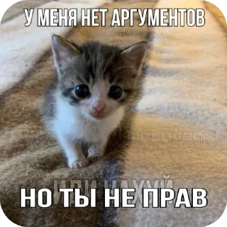 Sticker агро-коты🥀 : автор @ximelix : @qumips - 7