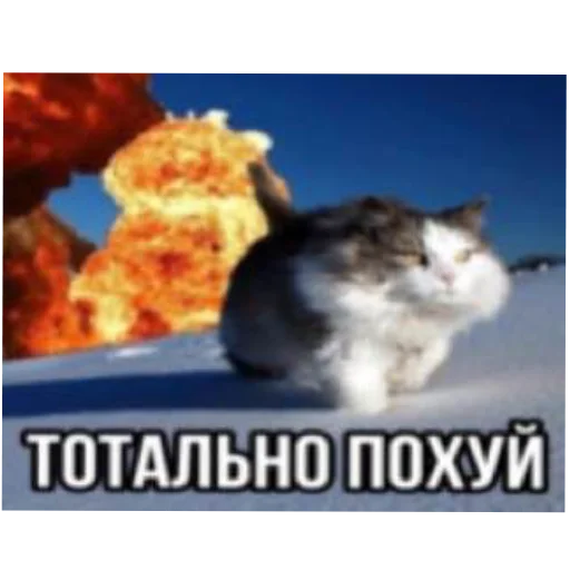 Sticker alahbabah41 - 1