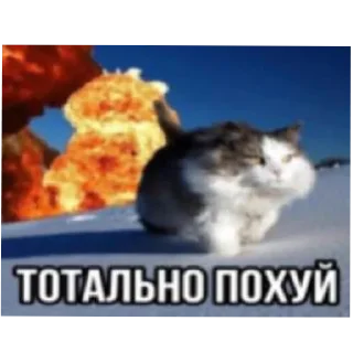 Стикер boikisser_is_eepy - 9