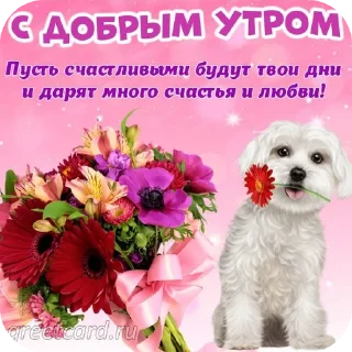 Стикер чисто для меня стикерпак - 7