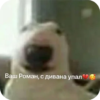 Стикер чисто для меня стикерпак - 11