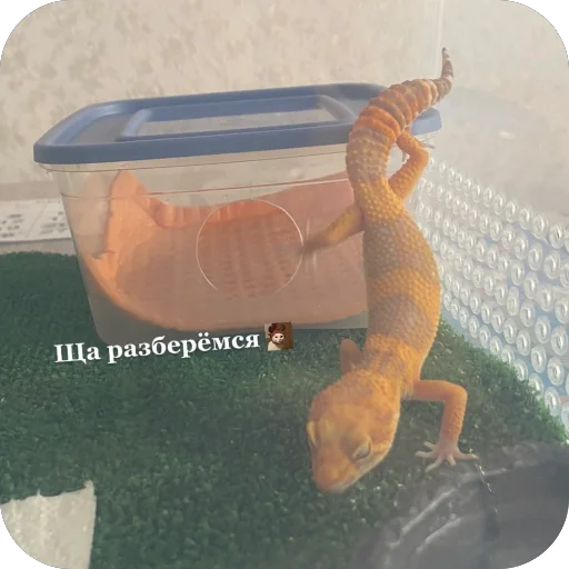 Стикер asta_b4915_by_TgEmodziBot - 1