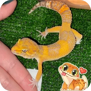 Sticker Аста @TgEmodziBot - 1