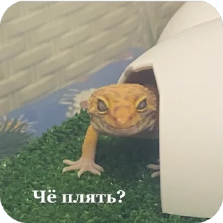 Sticker Аста @TgEmodziBot - 2