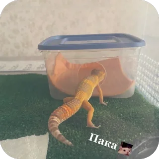 Sticker Аста @TgEmodziBot - 3