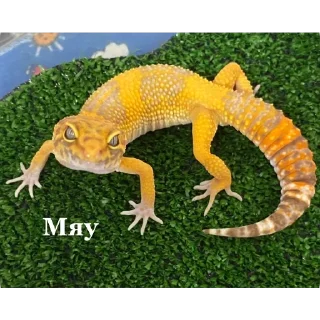 Sticker Аста @TgEmodziBot - 6