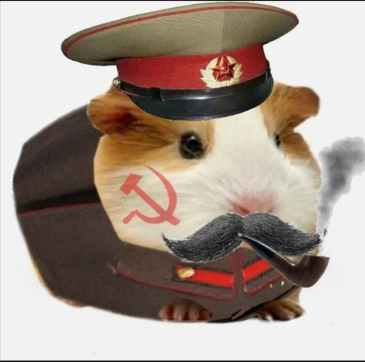 Стикер avatarki_s_kanala_VOCSTO_by_TgEmodziBot - 1