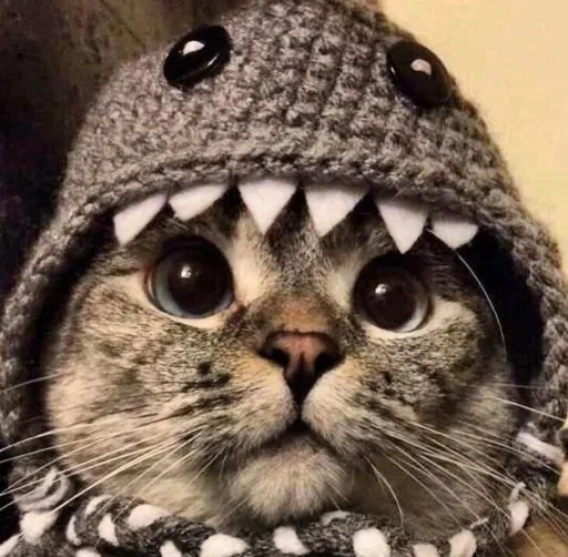 Sticker avatarki_s_kanala_VOCSTO_by_TgEmodziBot - 1