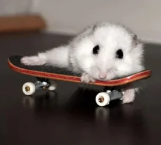 Стикер Аватарки с канала VOCSTOR @TgEmodziBot - 11