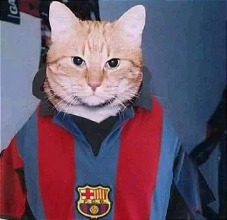 Стикер Аватарки с канала VOCSTOR @TgEmodziBot - 9