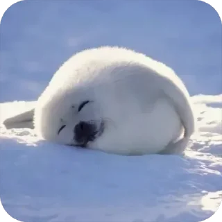 Sticker СТИКЕРЫ ТУТ -> @stikery_stickers - 10