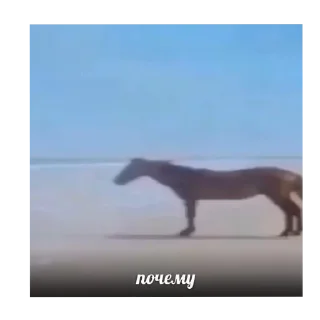 Стикер барабулька - 2